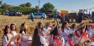 “Festa e grurit”, një paradë e veshjeve, këngëve e valleve tradicionale, e bukurisë e mikpritjes myzeqare