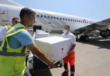 Mbërrijnë edhe 50 000 vaksina të tjera Coronavac në Shqipëri