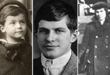 Nuk është Ajshtajni, ky është njeriu më i zgjuar në botë