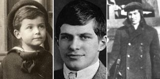 Nuk është Ajshtajni, ky është njeriu më i zgjuar në botë