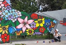 Nermin Shurdha, artistja që u jep jetë mureve të Shkodrës përmes pikturave