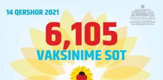 Mbi 842 mijë vaksinime që nga nisja e fushatës “Shqipëria buzëqesh”
