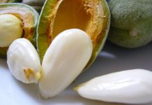 Bajamet e njoma shqiptare, vlerat befasuese për shëndetin