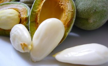 Bajamet e njoma shqiptare, vlerat befasuese për shëndetin