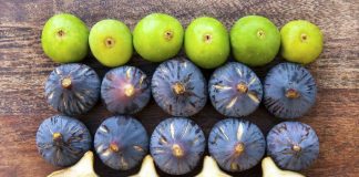 Të ëmblit e verës, si të zbuloni llojet më të mira të fiqve