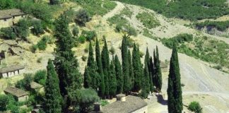 Kisha në Bënjë, monument kulture me vlera të veçanta kulturore e historike