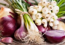 Antibiotikët më të fuqishëm natyralë që luftojnë disa sëmundje