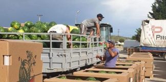 FOTOT/ Nis eksporti i shalqinit shqiptar drejt Çekisë