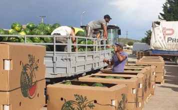 FOTOT/ Nis eksporti i shalqinit shqiptar drejt Çekisë