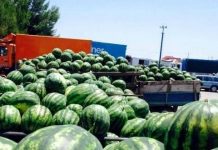 Eksportet e mallrave u rritën me 52.7 % në maj, arritën vlerën 33 miliardë lekë