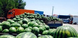 Eksportet e mallrave u rritën me 52.7 % në maj, arritën vlerën 33 miliardë lekë