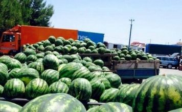 Eksportet e mallrave u rritën me 52.7 % në maj, arritën vlerën 33 miliardë lekë