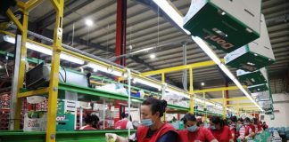 Eksportet bujqësore bëjnë “boom”/ Arritën në 22.1 miliardë lekë në gjysmën e parë të vitit