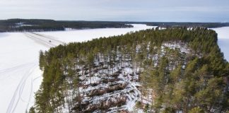 3 miliardë pemë do të mbillet në BE deri në vitin 2030