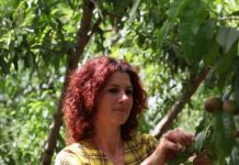 Histori frymëzuese fermeri/ Landa, 9 vite në kultivimin e nektarinës