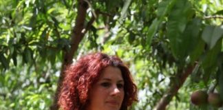 Histori frymëzuese fermeri/ Landa, 9 vite në kultivimin e nektarinës