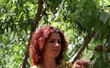 Histori frymëzuese fermeri/ Landa, 9 vite në kultivimin e nektarinës