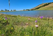 FOTO/ “Liqeni i Zi” në Gramsh, destinacioni që duhet të vizitoni këtë verë