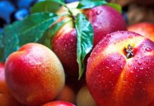 Cilat janë qarqet që prodhojnë më shumë fruta në Shqipëri