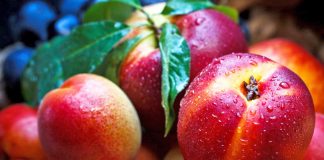 Cilat janë qarqet që prodhojnë më shumë fruta në Shqipëri