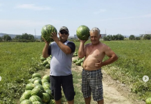 Shifrat pozitive/ Shalqinjtë e Lushnjes dhe Fierit “çajnë” kufijtë e BE