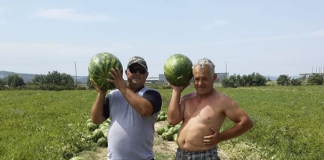 Shifrat pozitive/ Shalqinjtë e Lushnjes dhe Fierit “çajnë” kufijtë e BE