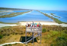 Llixhat e Divjakës – Banjat natyrale që qetësojnë dhimbjet e kockave