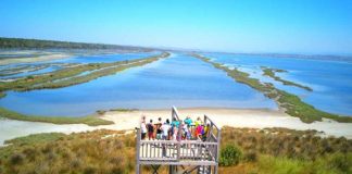 Llixhat e Divjakës – Banjat natyrale që qetësojnë dhimbjet e kockave