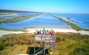 Llixhat e Divjakës – Banjat natyrale që qetësojnë dhimbjet e kockave