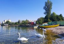 FOTOT/ Pogradeci kthehet në destinacion të preferuar për turistët