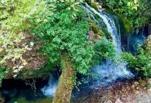 FOTOT/ Mrekullia e Tatzatit, një qoshk piktoresk për adhuruesit e natyrës
