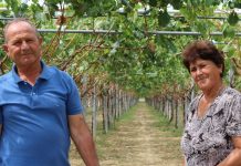 FOTO/ Njerëzit punëtorë të Shqipërisë, njihuni me Besnikun dhe bashkëshorten e tij