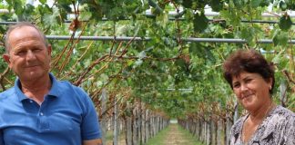 FOTO/ Njerëzit punëtorë të Shqipërisë, njihuni me Besnikun dhe bashkëshorten e tij