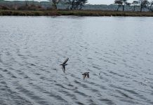 FOTOT – VROJTIMI I GJELËZËS SQEPHOLLË NË LIGATINËN SEKTOR-RINIA, DURRËS