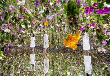 FOTOT – Njihuni me kopshtin përrallor në Tokio, ka 13 000 orkide “lundruese”