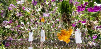 FOTOT – Njihuni me kopshtin përrallor në Tokio, ka 13 000 orkide “lundruese”