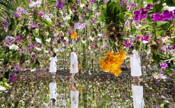 FOTOT – Njihuni me kopshtin përrallor në Tokio, ka 13 000 orkide “lundruese”