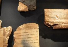 Historiku i të dhënave personale/ Kush e shpiku kartën e identitetit?!