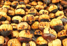 Krenaria shqiptare/ Ja pse gështenjat e Tropojës janë super të kërkuara në Evropë