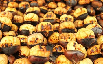 Krenaria shqiptare/ Ja pse gështenjat e Tropojës janë super të kërkuara në Evropë