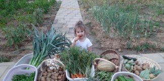 Korça nuk zhgënjen kurrë, kopshtet komunitare një model suksesi (FOTOT)