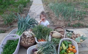 Korça nuk zhgënjen kurrë, kopshtet komunitare një model suksesi (FOTOT)