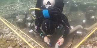 Zbulohet vendbanimi neolitik në Liqenin e Ohrit, daton para 8 mijë vitesh