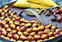 Nis eksporti, gështenjat “Made in Albania” më të kërkuarat në Itali