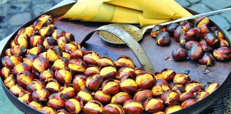 Nis eksporti, gështenjat “Made in Albania” më të kërkuarat në Itali