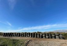 FOTO/ Bravo djema! Vullnetarët e EKO MENDJE pastrojnë 136 goma nga lumi i Vijës së Vrakës