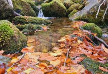 FOTOT/ Parku “Shebenik-Jabllanicë”, destinacion i preferuar turistik