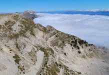 FOTO/ Dhia e egër shfaqet në Malin e Tomorrit