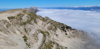 FOTO/ Dhia e egër shfaqet në Malin e Tomorrit