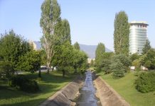 FOTOT – Sezoni i reshjeve, aksion për pastrimin e Lanës në Tiranë